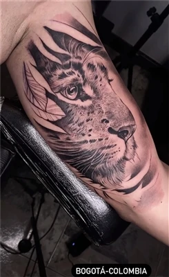 Hvað þýðir Half Tiger Tattoo?